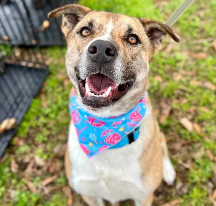 Photo of Oakley
