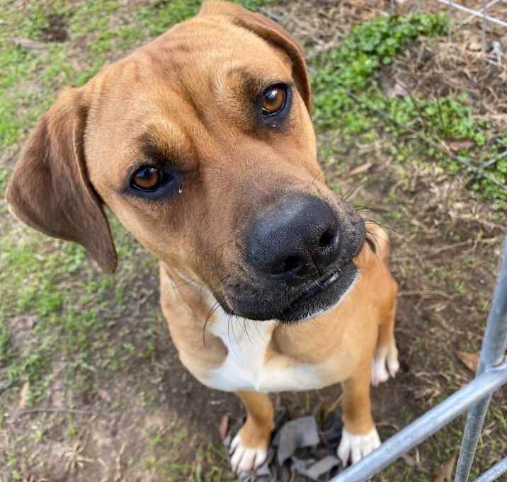 Photo of Sadie