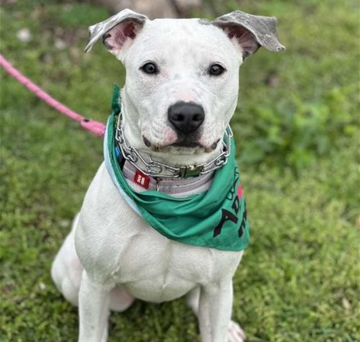 Photo of Misty
