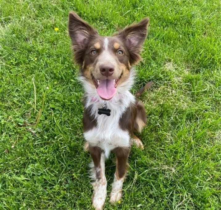 Photo of Calypso