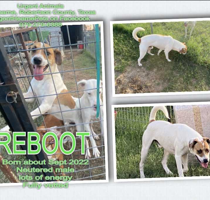 Photo of Reboot