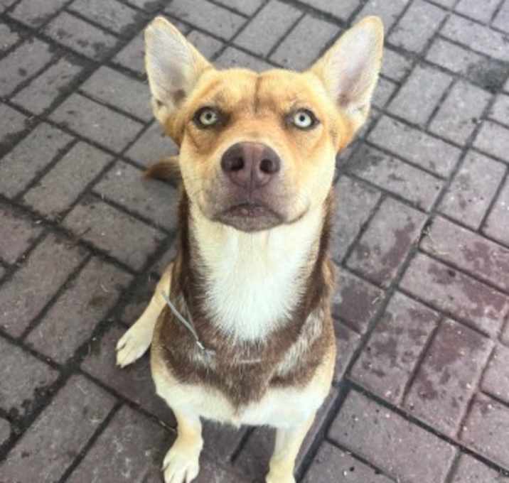 Photo of Honey