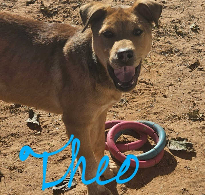 Photo of Theo