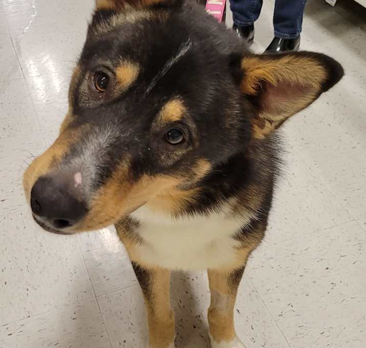 Photo of Kaiser