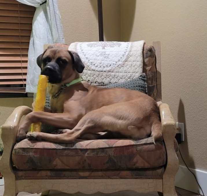 Photo of NALA 2