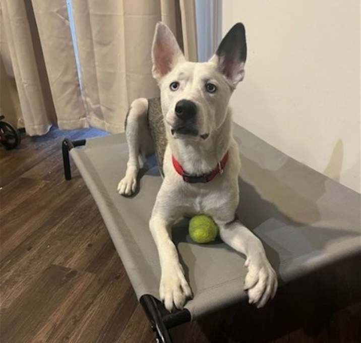 Photo of Mollie