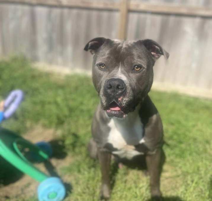Photo of Zeus