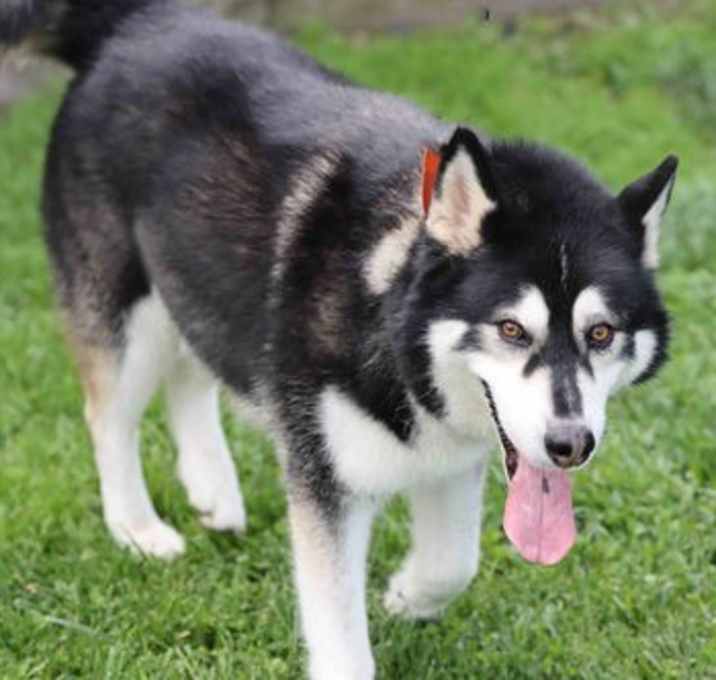 Photo of Cash