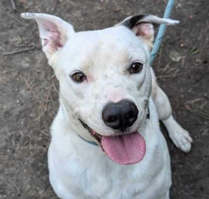 Photo of Hudson