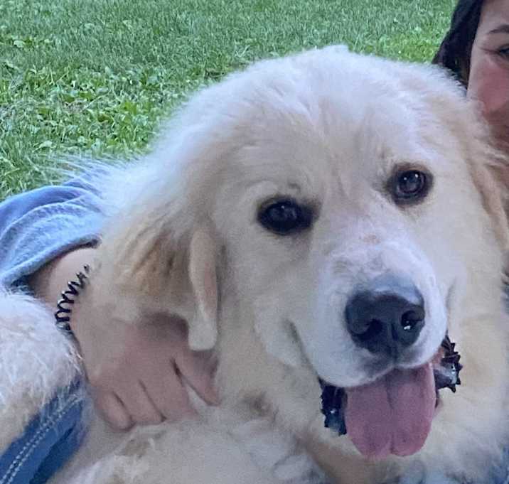 Photo of Yeti