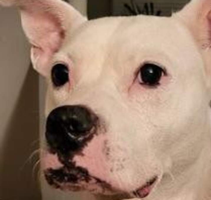 Photo of Baby Girl