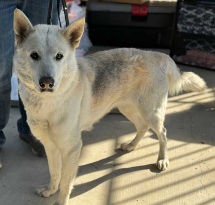 Photo of Freya