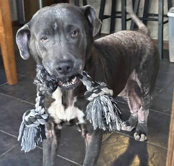 Photo of Ralphie