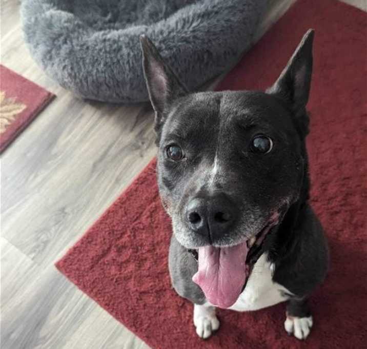 Photo of Precious Polly