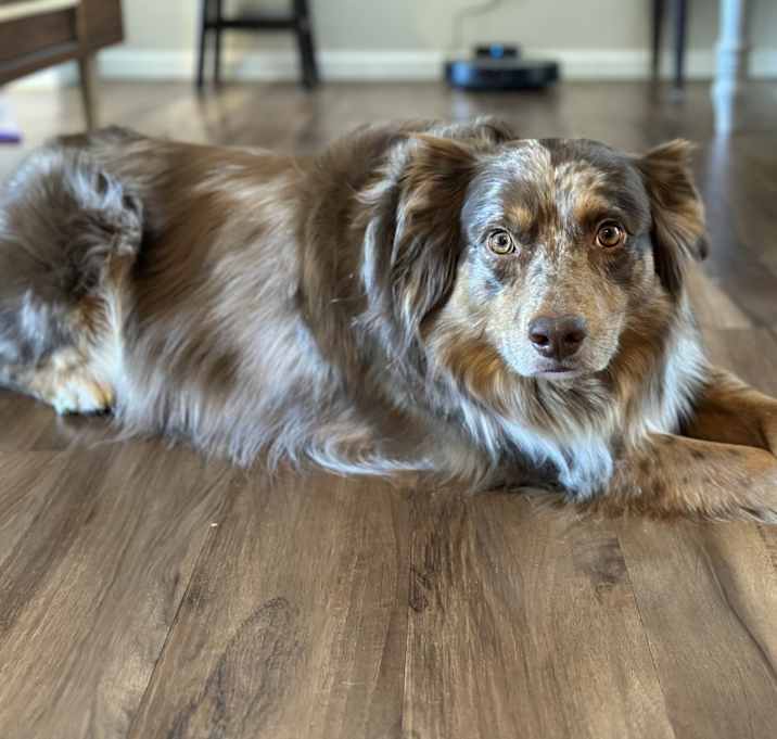 Photo of Jax