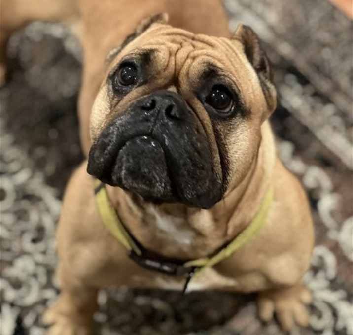 Photo of Honey