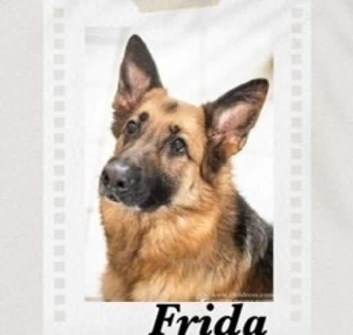 Photo of Frida