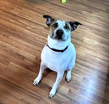 Photo of Roo