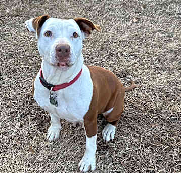 Photo of Roxie