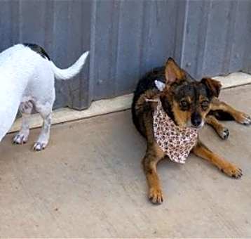 Photo of Layla & Mila