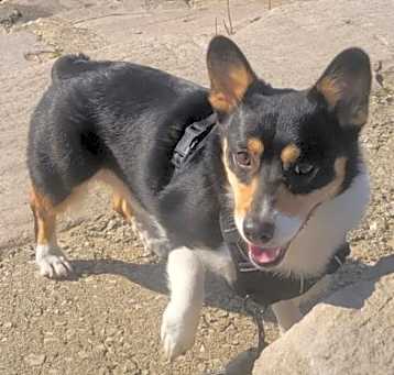 Photo of Graham
