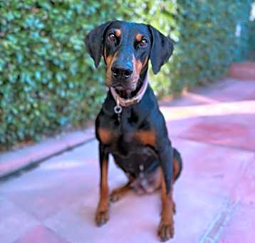 Photo of Zoe
