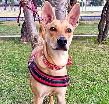 Photo of Dany (Taiwan FMD mix)