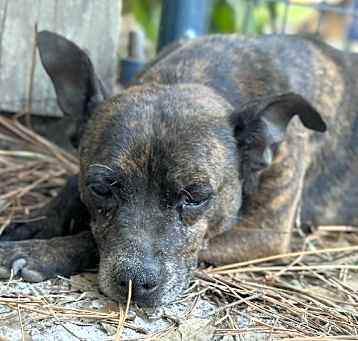 Photo of Luda/Lucy