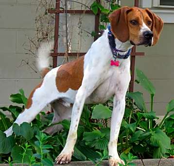 Photo of Stanley
