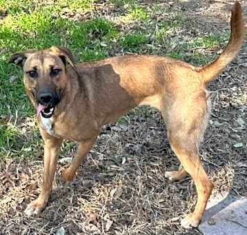 Photo of Annie