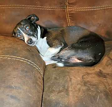 Photo of MILLIE