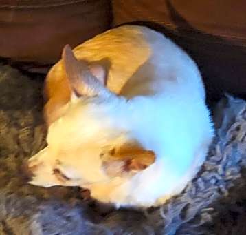Photo of MISSY