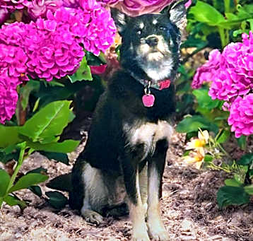 Photo of nut-Tasha