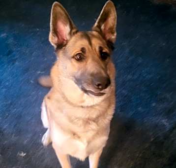 Photo of Zeus