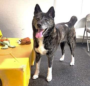 Photo of Emi