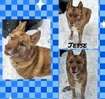 Photo of Jesse