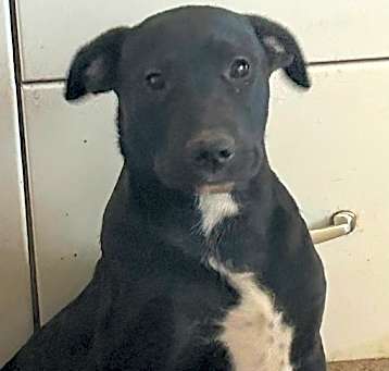 Photo of Taco