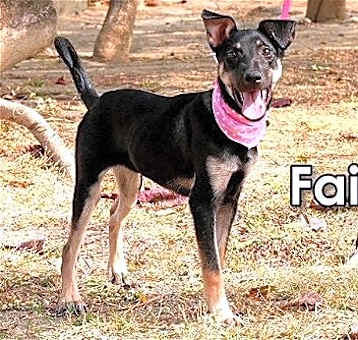 Photo of Faiza from Taiwan