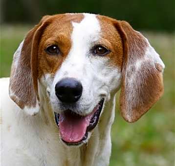 Photo of Thelma