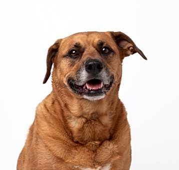 Photo of Sandy