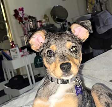 Photo of Lexy