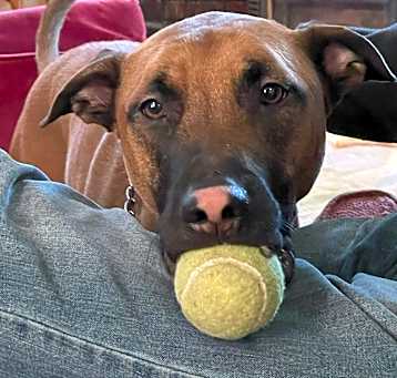Photo of Lennox