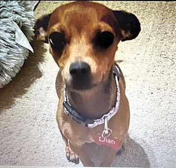 Photo of Lilah