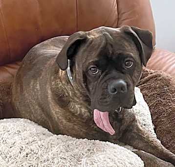 Photo of Mae