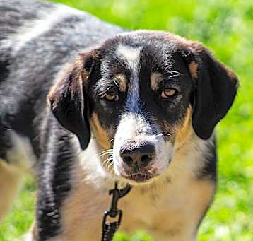 Photo of Zula