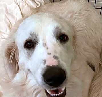 Photo of Molly