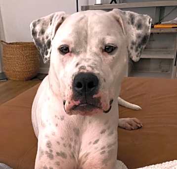 Photo of Binka
