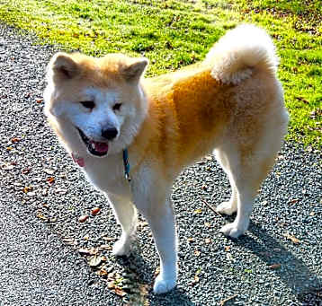 Photo of Hiromi
