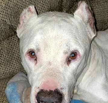 Photo of Rayy Dubbs
