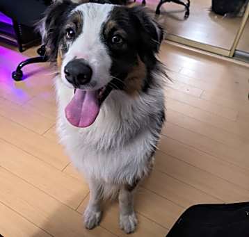 Photo of Max